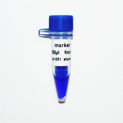 Escalera de la DNA del marcador 1 M1081 (50μg) /M1082 (50μg×5)