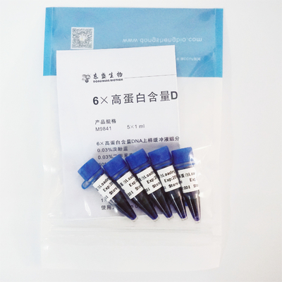Tinte del cargamento del gel 6×, almacenador intermediario cargado M9081 1ml X5 de la electroforesis de la DNA de SDS+