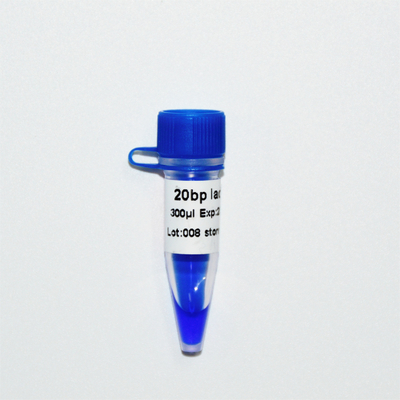 aspecto azul de GDSBio de la electroforesis del marcador de la DNA de la escalera 20bp