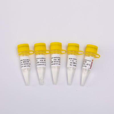 Equipo ácido nucléico 2019-NCoV-AbEN Pseudovirus V1001 V1002 V1003 de la purificación de GDSBio