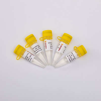 Equipo ácido nucléico 2019-NCoV-AbEN Pseudovirus V1001 V1002 V1003 de la purificación de GDSBio