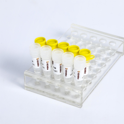 Detección de la mezcla maestra de PCR KASP P4021 P4022 SNP InDels